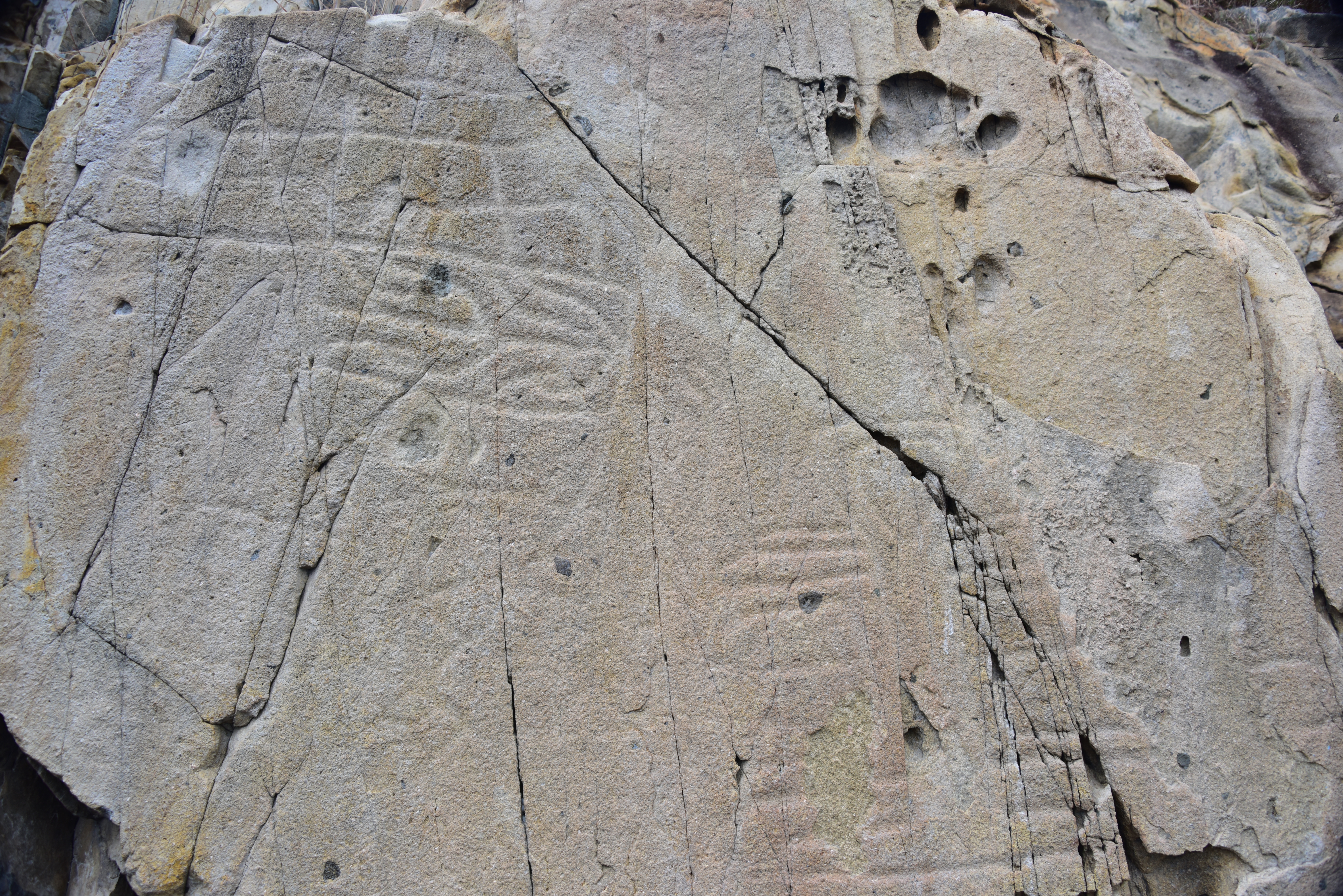 蒲台島上帶有上下方向線條和方形圖紋的石刻
