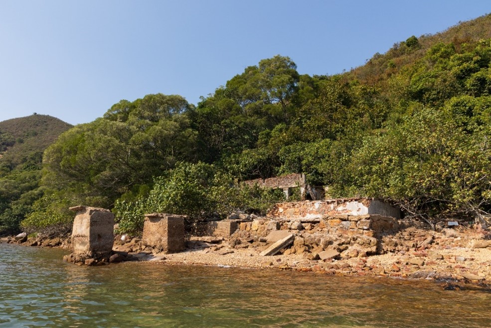 老虎笏沿岸的香港珍珠有限公司珍珠養殖場遺址，至今仍見房屋及碼頭殘餘。該公司於1960年代由本地商人馮秉芬經營。