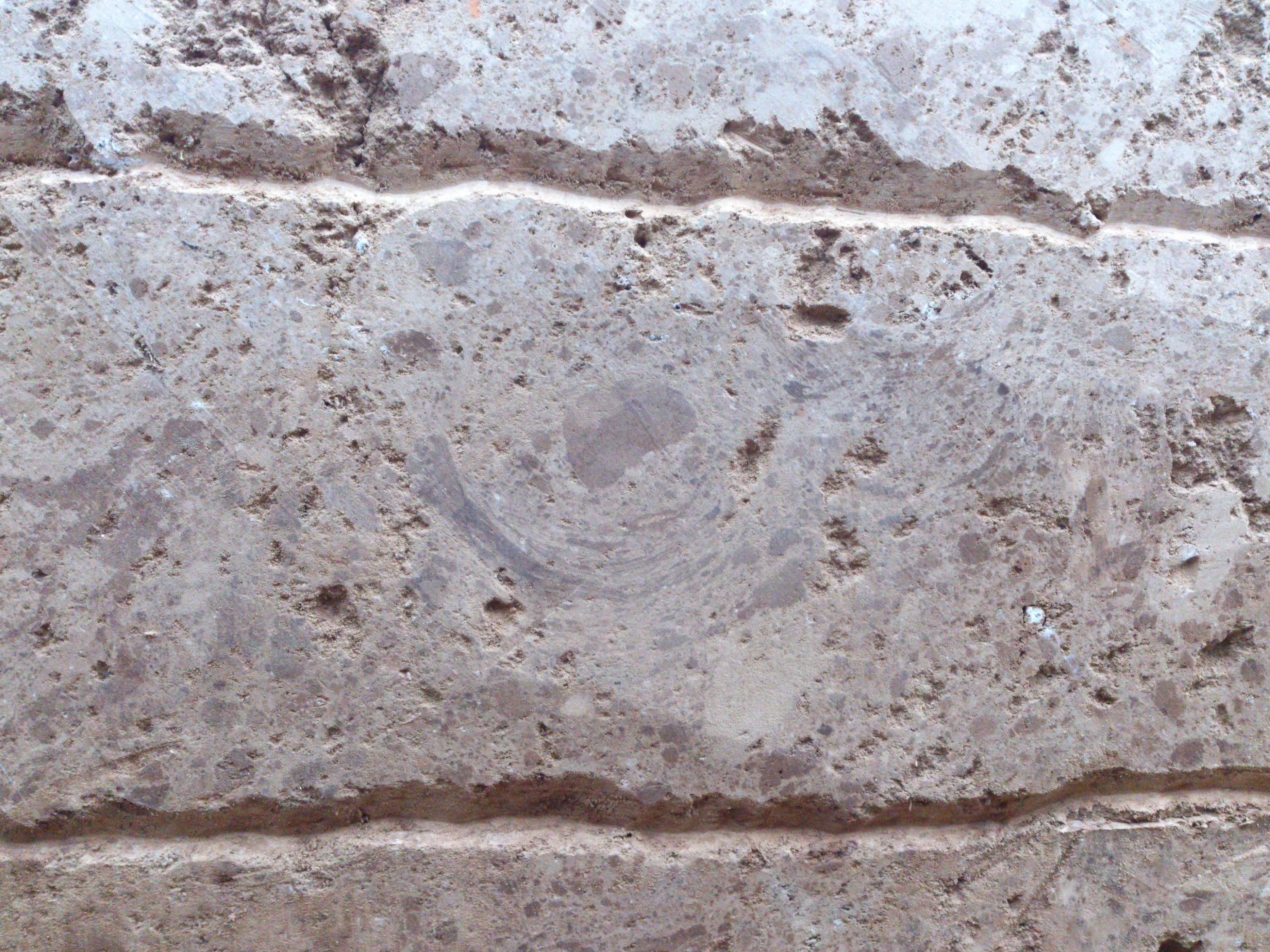 夯土城墻上的夯窩（相片中央似「U」字形）。
