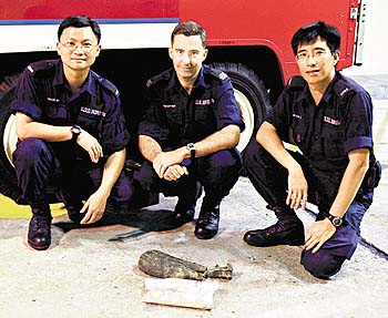 2001年5月23日，在銅鑼灣一個正在拆卸樓宇的地盤內，發現一枚長45厘米、由日本製造的迫擊砲彈。（圖片來源：警務處網頁）