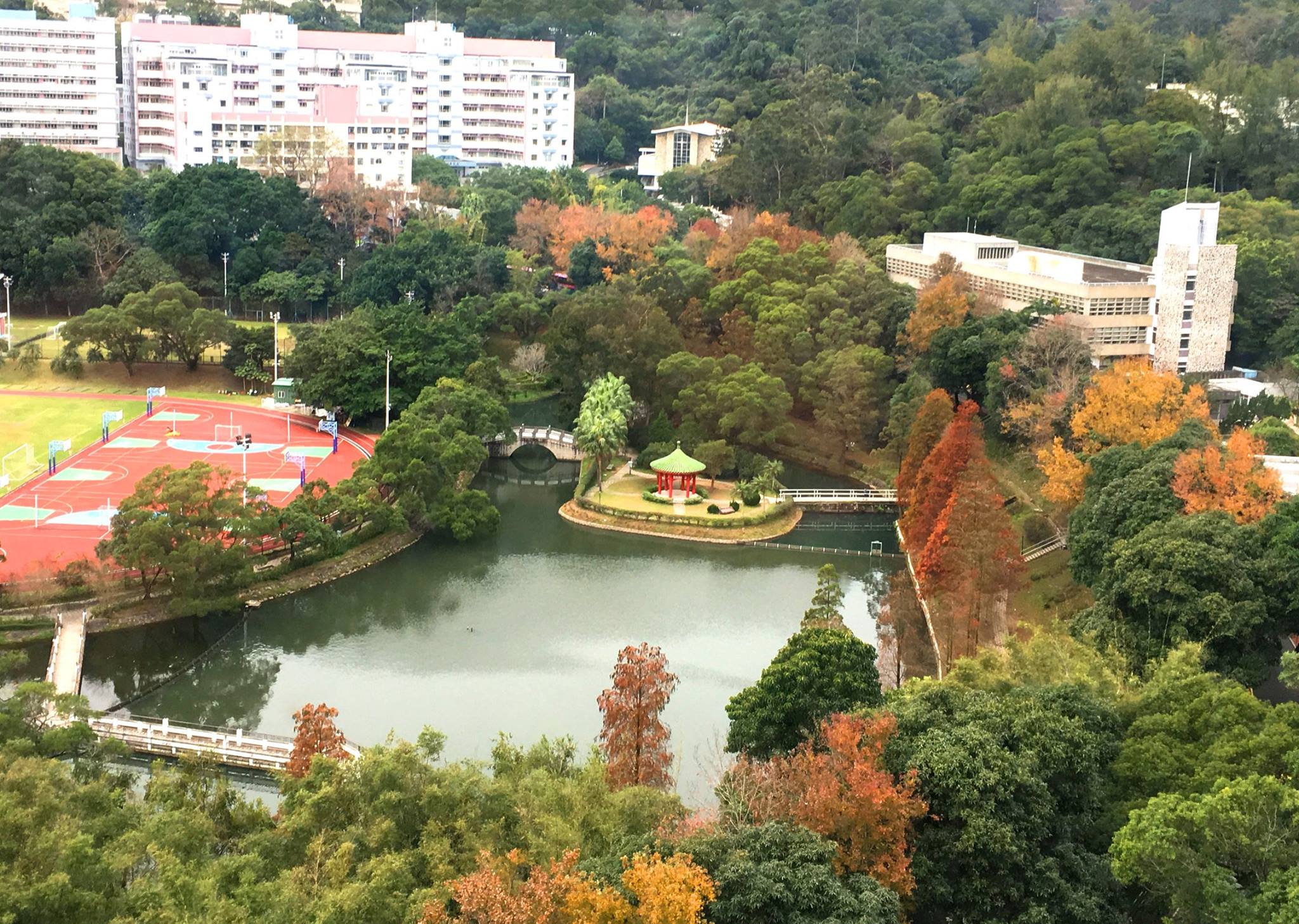 香港中文大學的未圓湖也是賞紅葉的熱點。