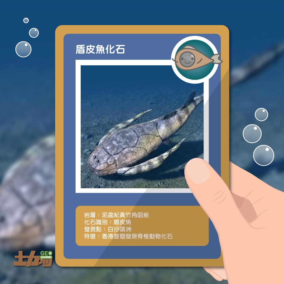 李作明教授在1980年於大埔船灣發現的魚化石（盾皮魚），是首次在香港出土泥盆紀時代的化石。（圖片來源：Geo Channel 土力場 Facebook）