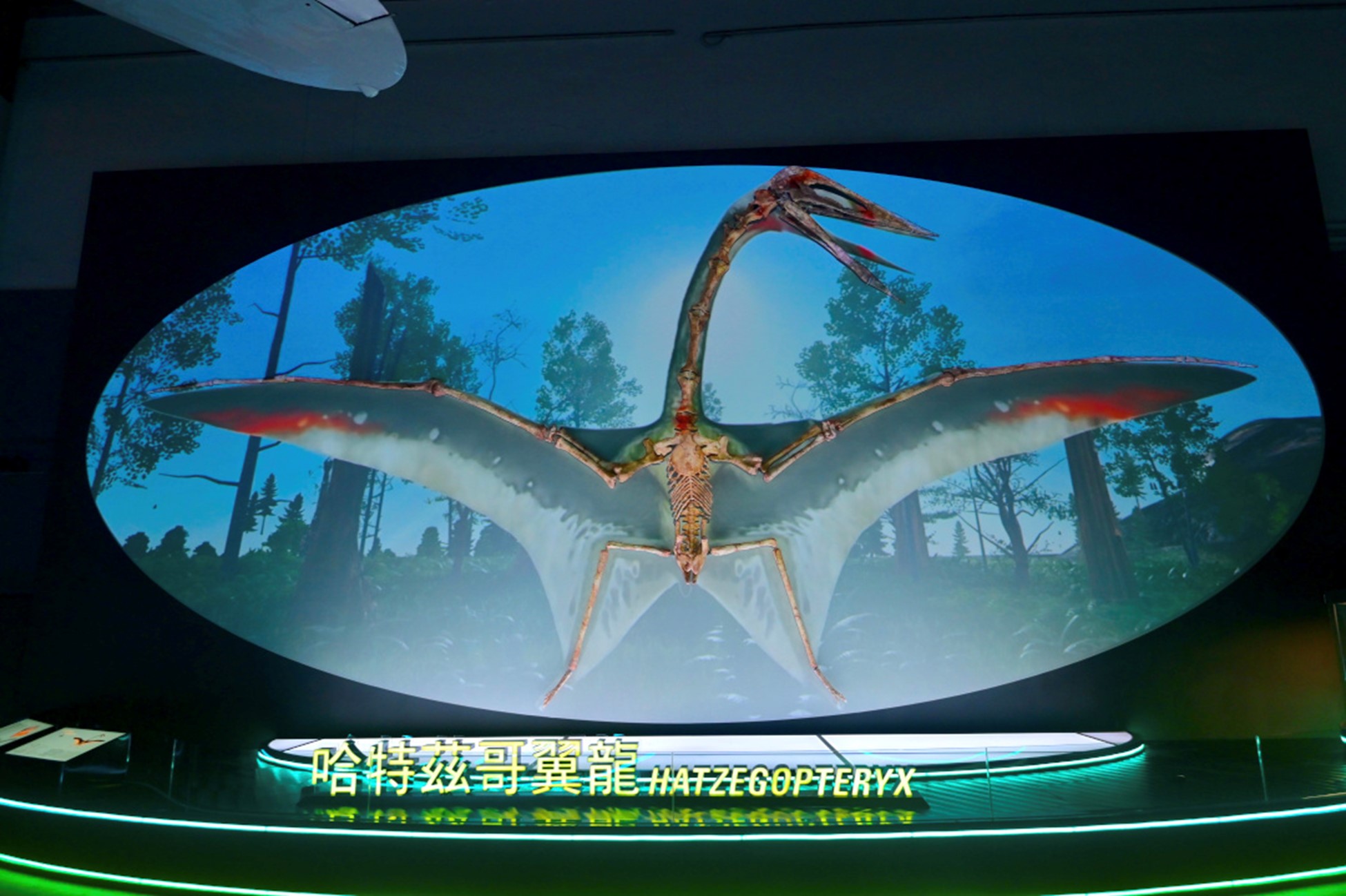 香港科學館舉辦大型恐龍展覽，重構史前最大掠食性恐龍和最大的飛行生物。（圖片來源：香港科學館）