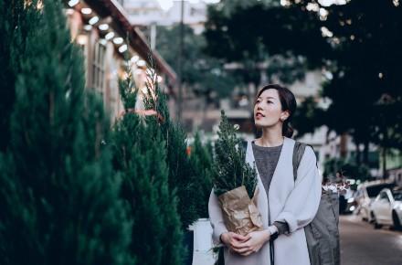香港曾統一發售真聖誕樹 每棵最平僅5元   潮流過後日本冬松也淪為「聖誕柴」